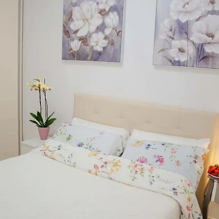 Beautiful San Forever *